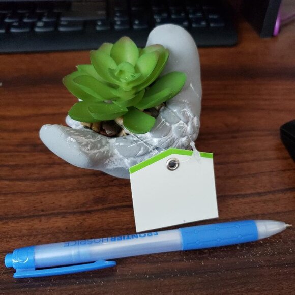 succulent plant in bird vase - Picture 3 of 3